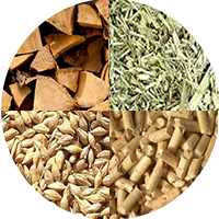 biomass